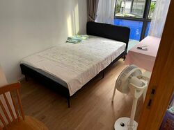 La Fiesta (D19), Condominium #496730221